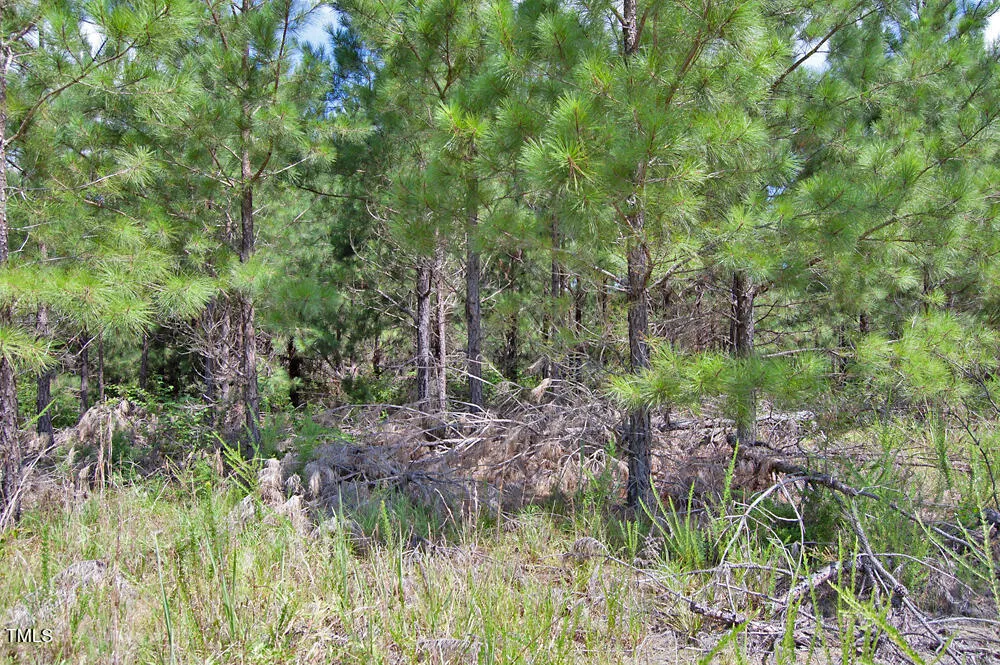0 Buckhorn Road Bullock, NC 27507