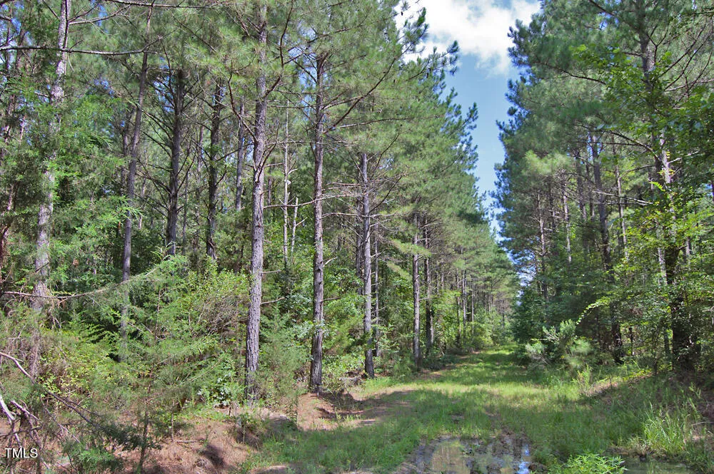 0 Buckhorn Road Bullock, NC 27507