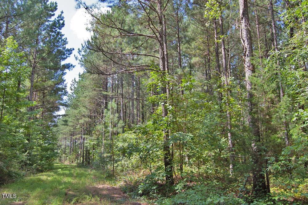 0 Buckhorn Road Bullock, NC 27507