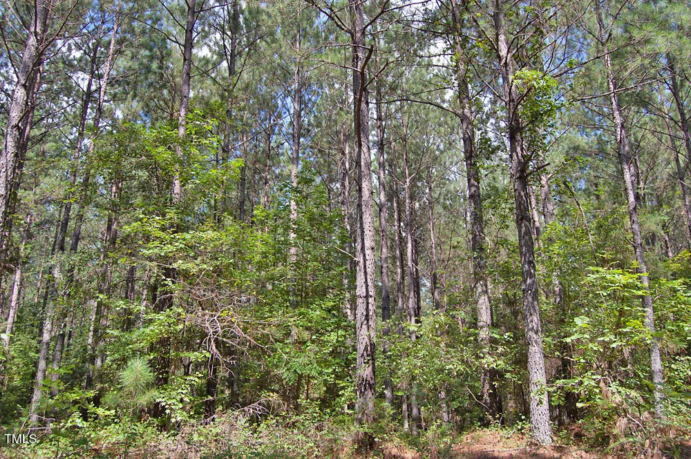 0 Buckhorn Road Bullock, NC 27507