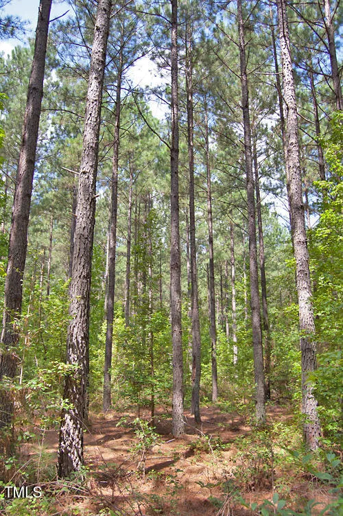 0 Buckhorn Road Bullock, NC 27507