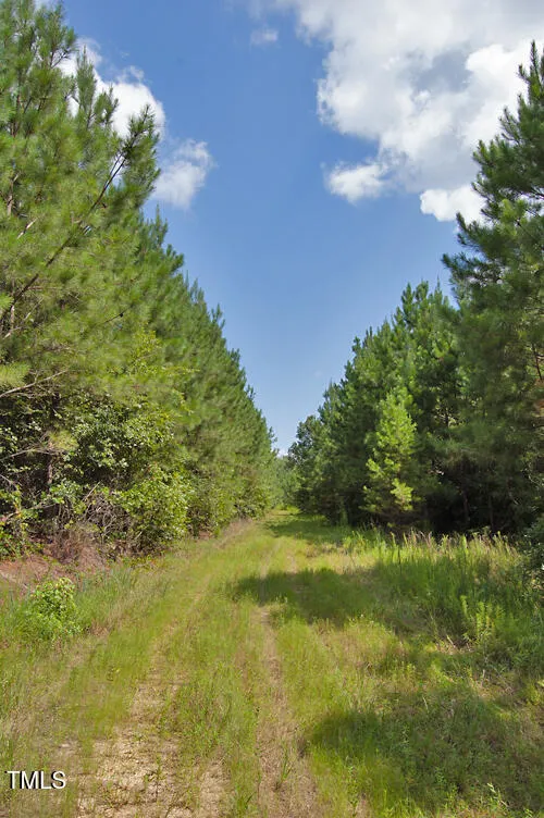 0 Buckhorn Road Bullock, NC 27507