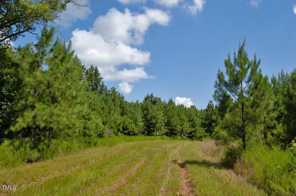 0 Buckhorn Road Bullock, NC 27507