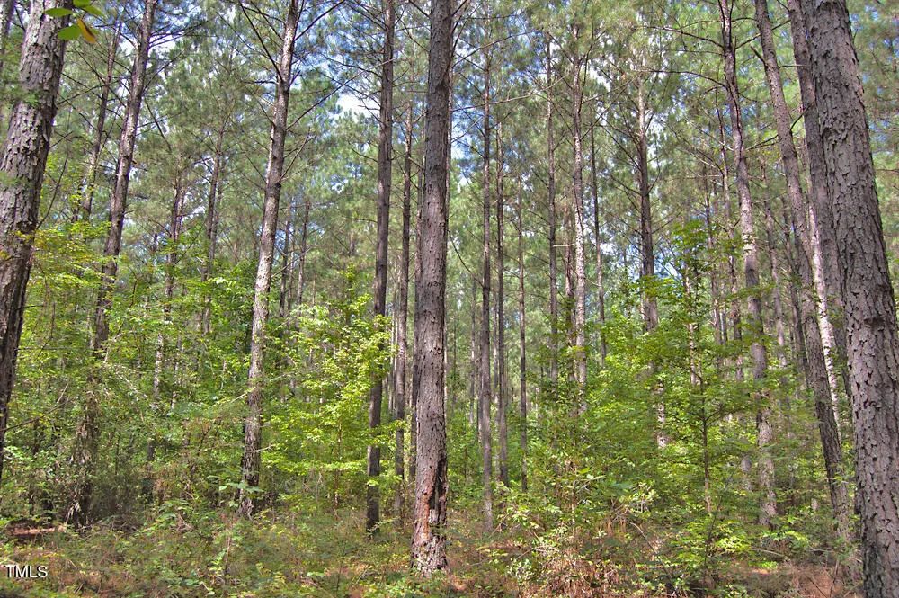 0 Buckhorn Road Bullock, NC 27507