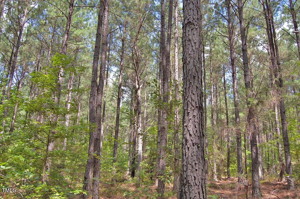 0 Buckhorn Road Bullock, NC 27507