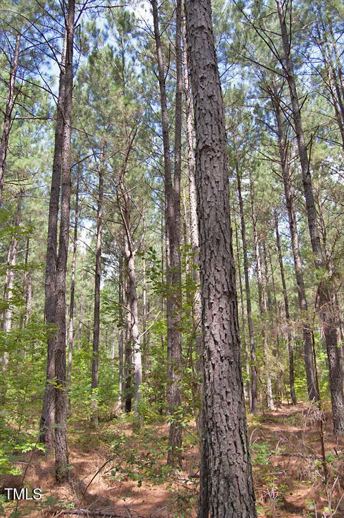 0 Buckhorn Road Bullock, NC 27507