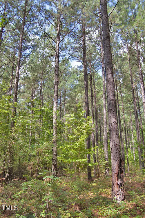 0 Buckhorn Road Bullock, NC 27507