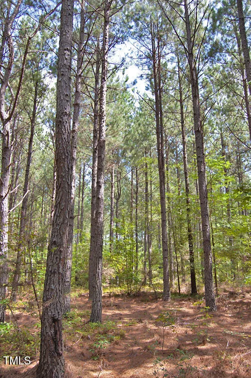 0 Buckhorn Road Bullock, NC 27507