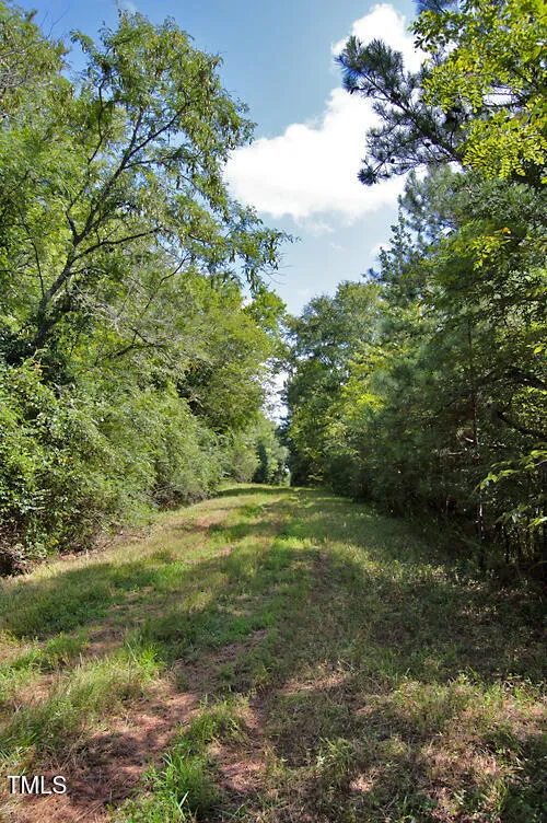 0 Buckhorn Road Bullock, NC 27507