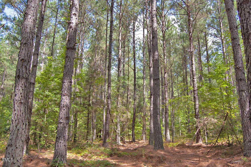 0 Buckhorn Road Bullock, NC 27507