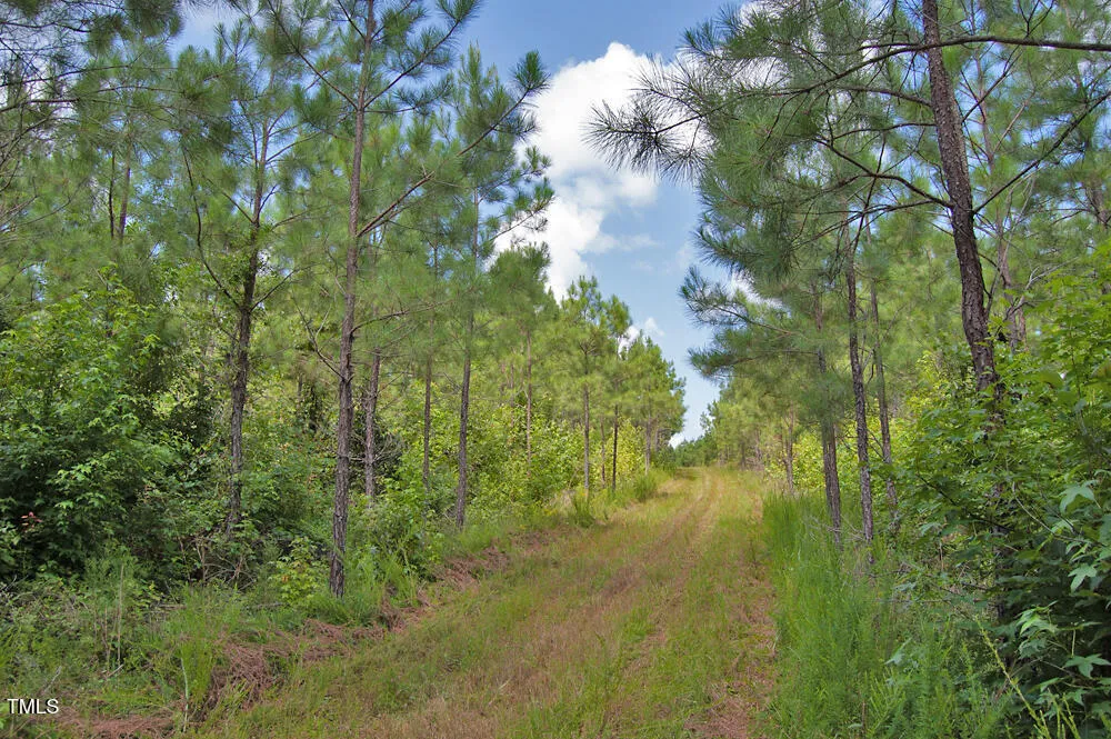 0 Buckhorn Road Bullock, NC 27507