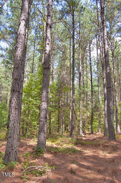 0 Buckhorn Road Bullock, NC 27507