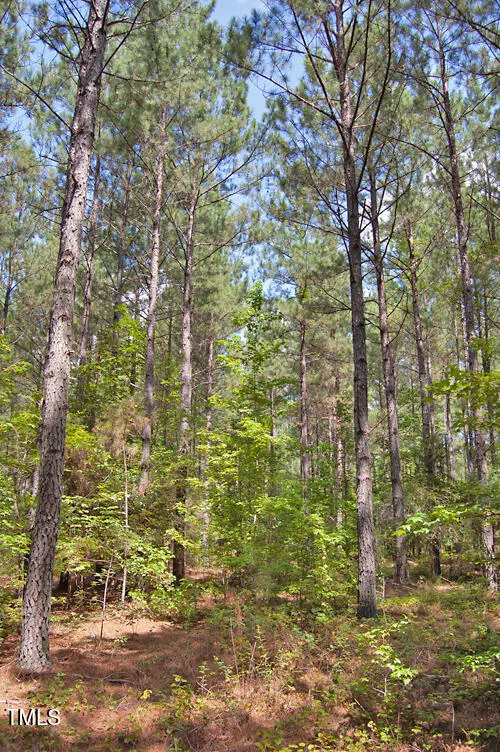 0 Buckhorn Road Bullock, NC 27507