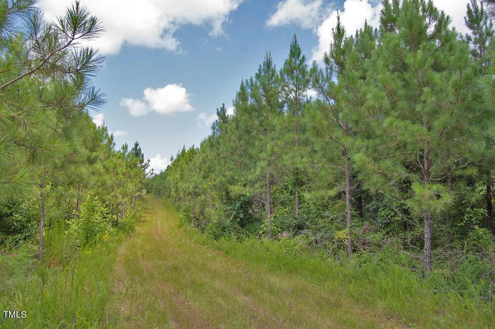 0 Buckhorn Road Bullock, NC 27507