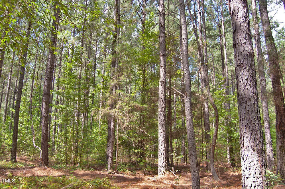 0 Buckhorn Road Bullock, NC 27507