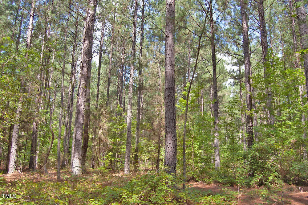 0 Buckhorn Road Bullock, NC 27507
