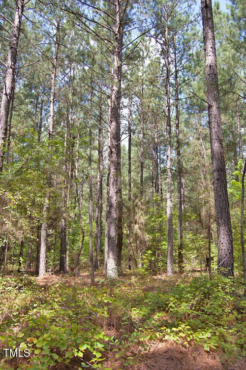 0 Buckhorn Road Bullock, NC 27507