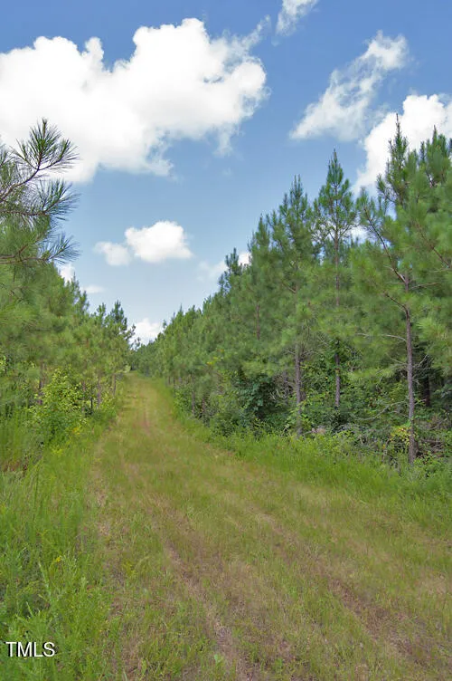 0 Buckhorn Road Bullock, NC 27507