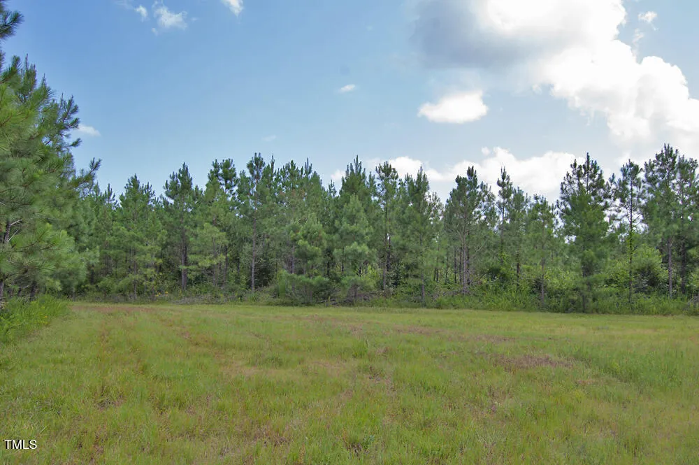 0 Buckhorn Road Bullock, NC 27507