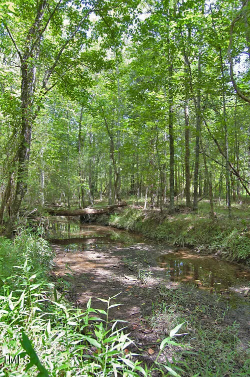 0 Buckhorn Road Bullock, NC 27507