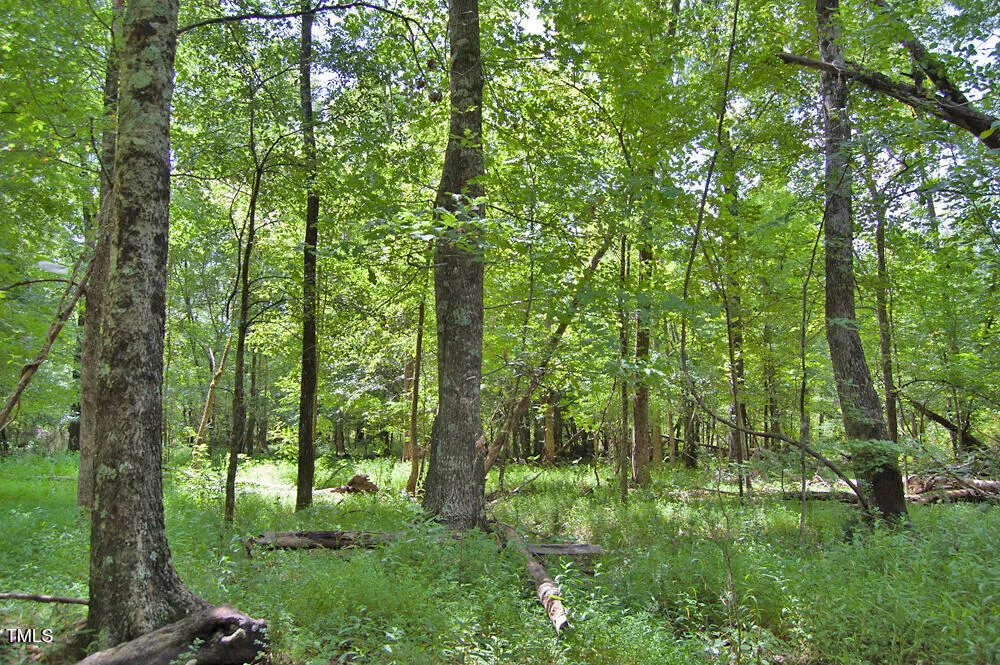 0 Buckhorn Road Bullock, NC 27507
