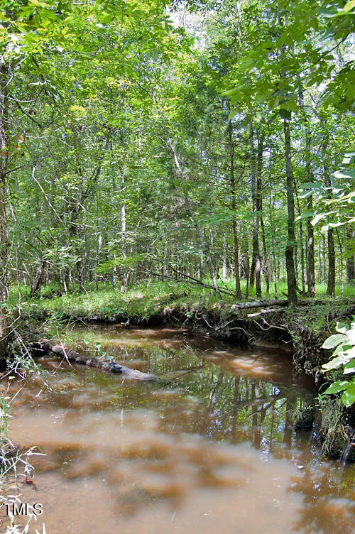 0 Buckhorn Road Bullock, NC 27507