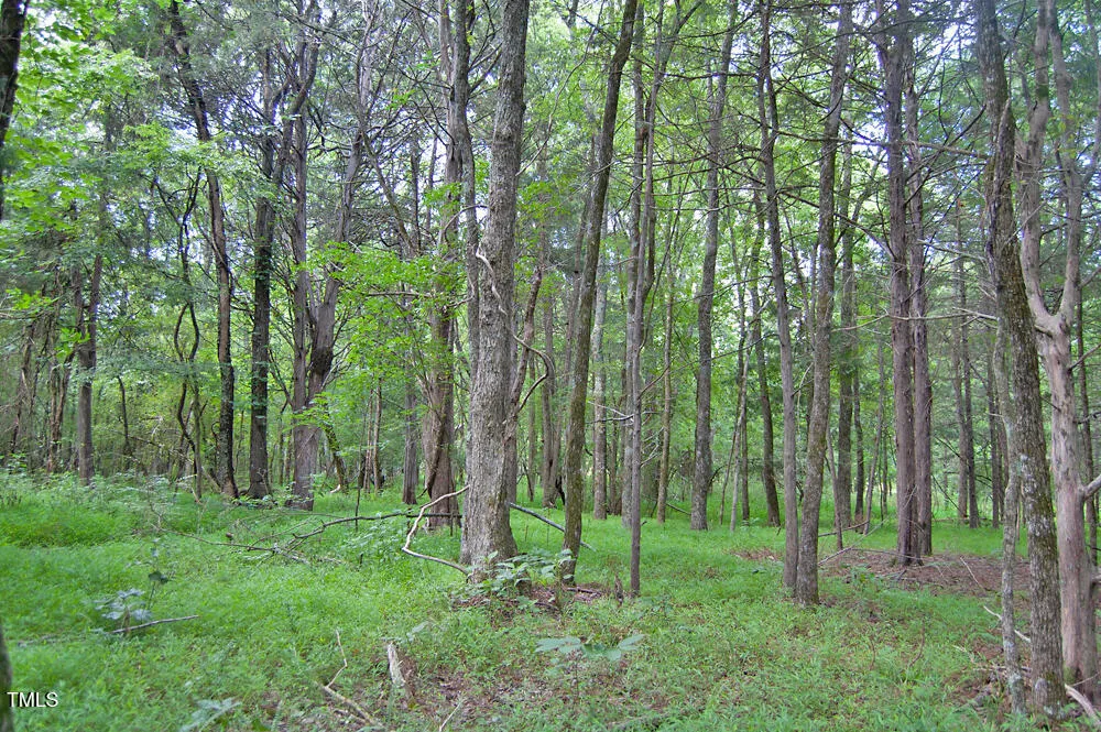 0 Buckhorn Road Bullock, NC 27507