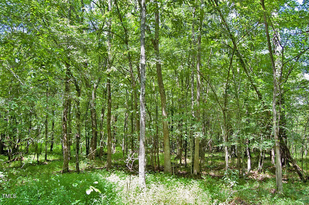 0 Buckhorn Road Bullock, NC 27507