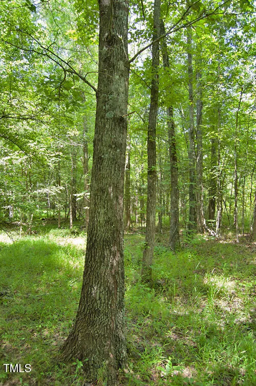 0 Buckhorn Road Bullock, NC 27507