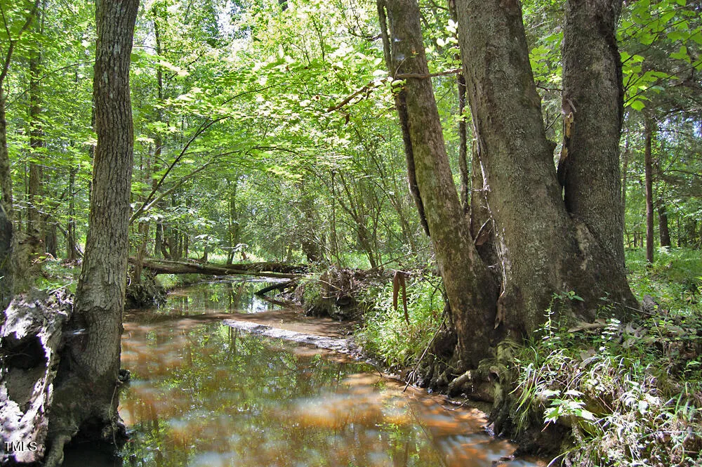 0 Buckhorn Road Bullock, NC 27507