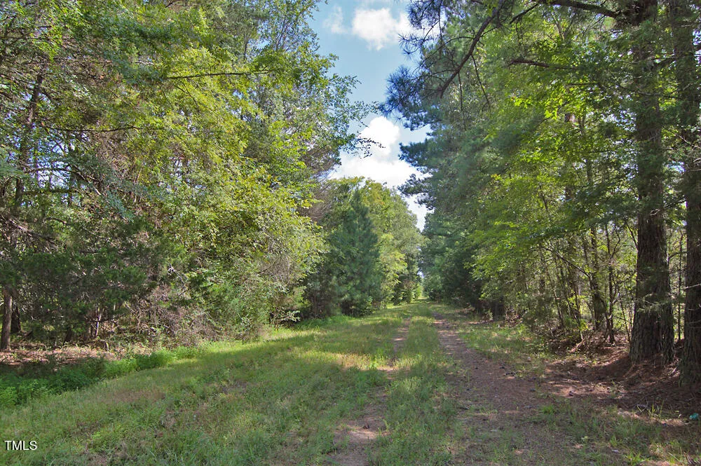 0 Buckhorn Road Bullock, NC 27507