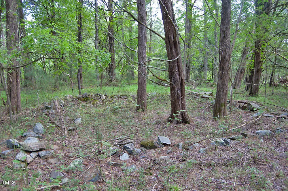 0 Buckhorn Road Bullock, NC 27507