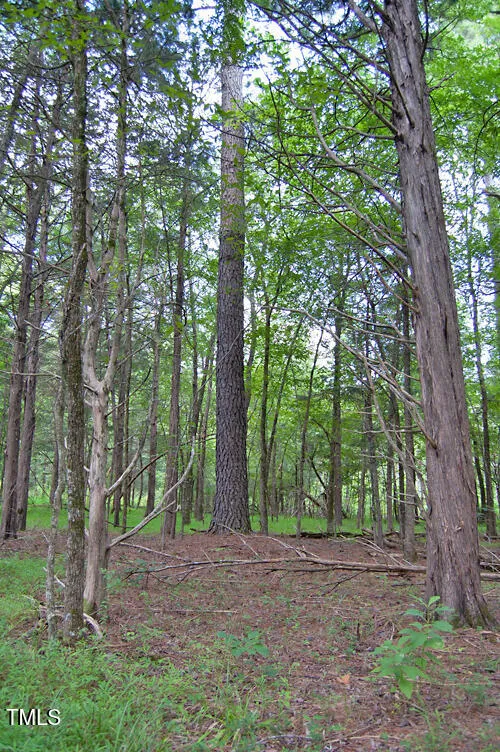 0 Buckhorn Road Bullock, NC 27507