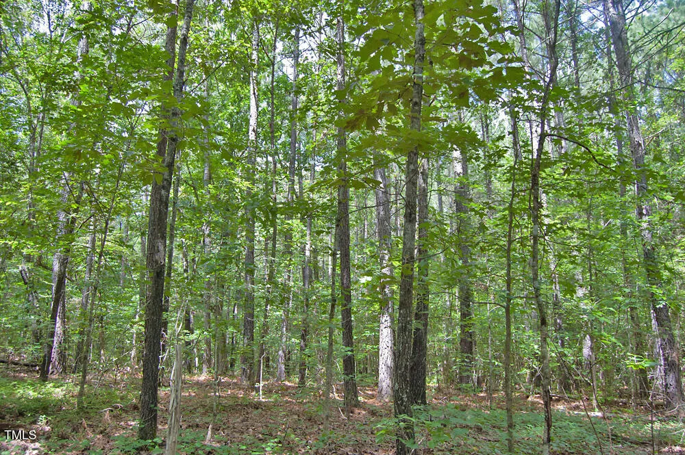 0 Buckhorn Road Bullock, NC 27507