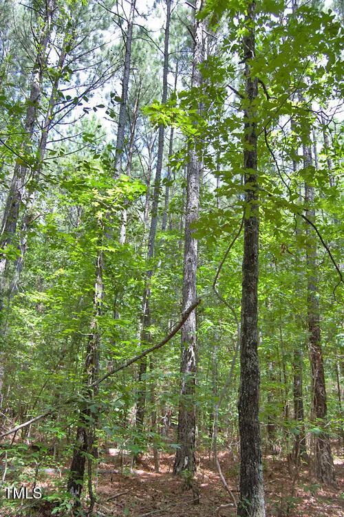 0 Buckhorn Road Bullock, NC 27507