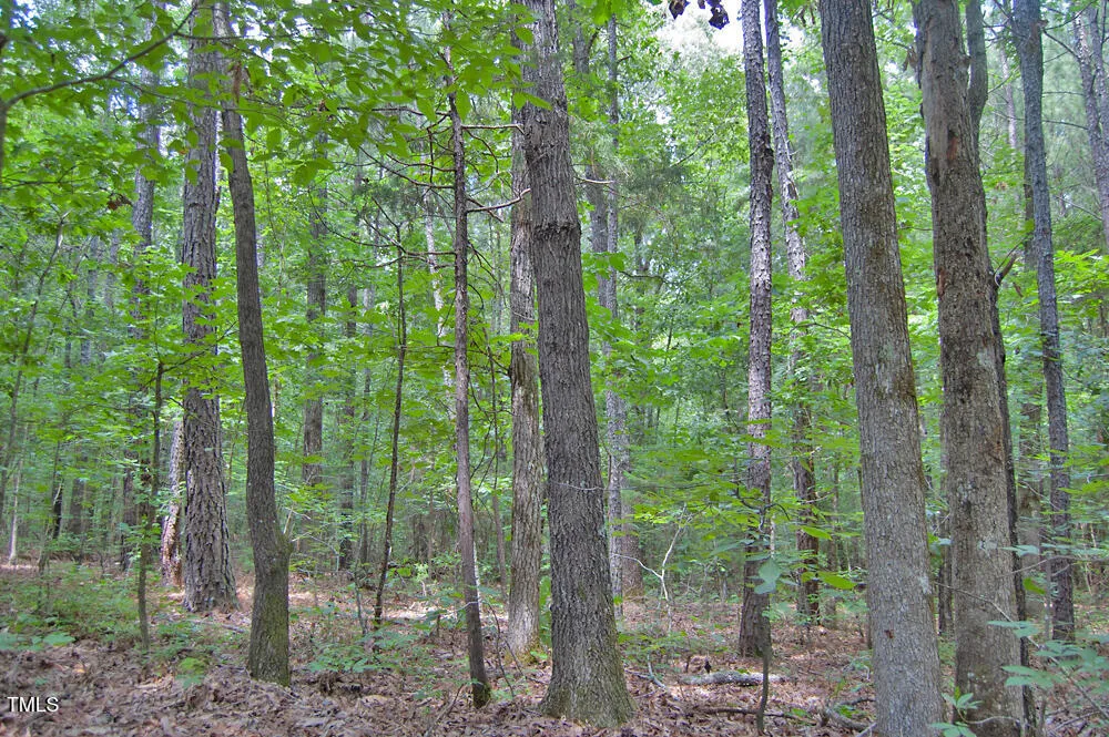 0 Buckhorn Road Bullock, NC 27507
