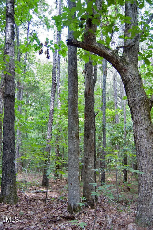 0 Buckhorn Road Bullock, NC 27507