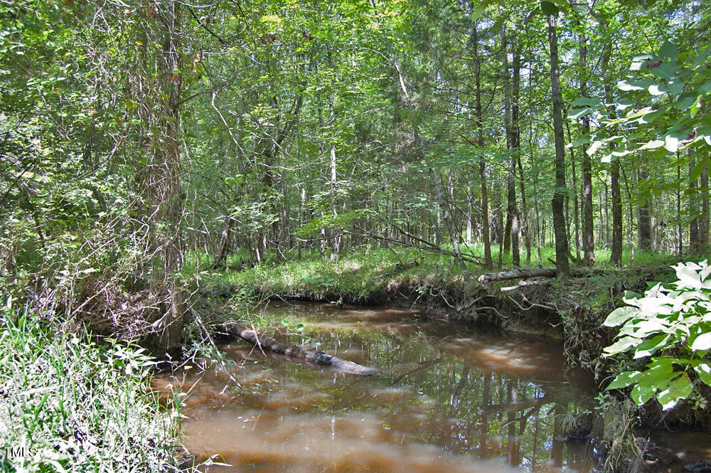0 Buckhorn Road Bullock, NC 27507