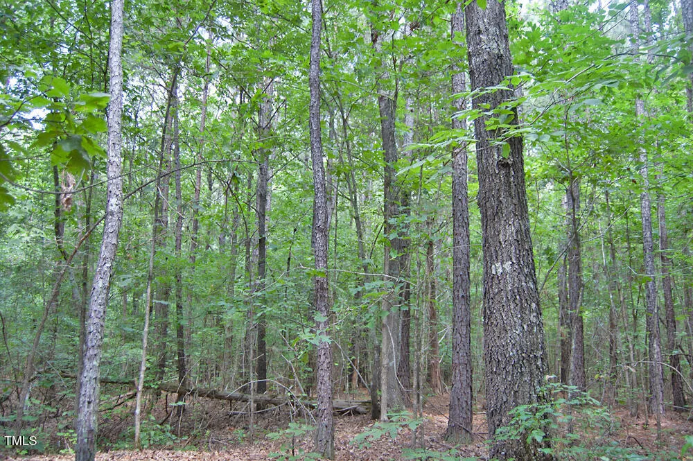 0 Buckhorn Road Bullock, NC 27507