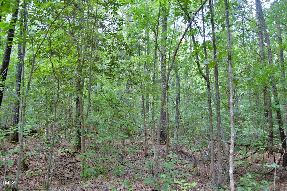 0 Buckhorn Road Bullock, NC 27507