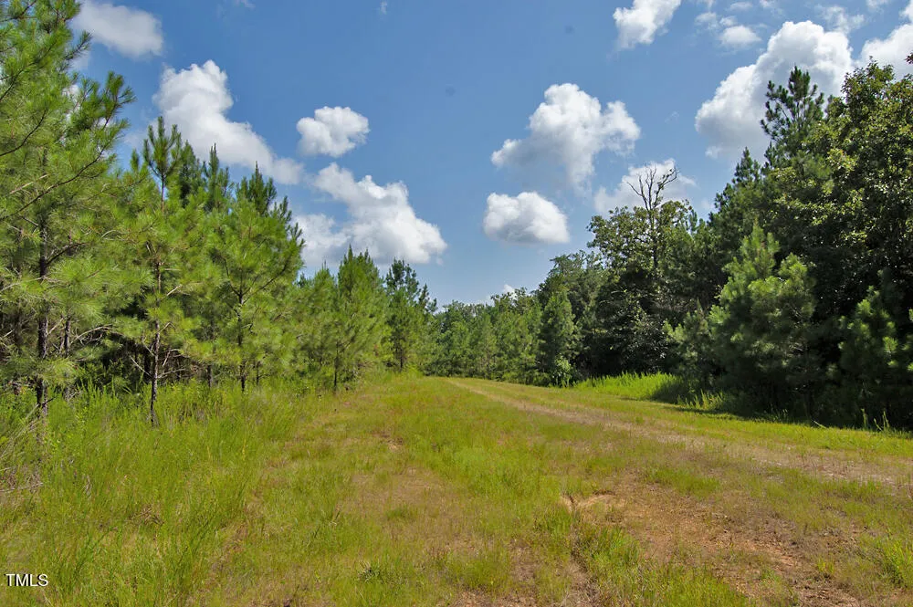 0 Buckhorn Road Bullock, NC 27507