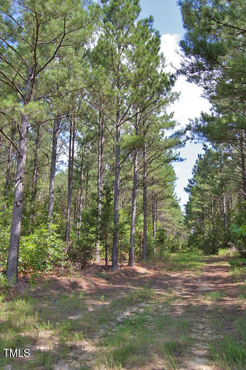 0 Buckhorn Road Bullock, NC 27507