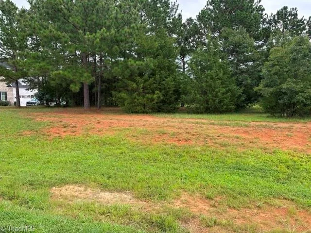 0 Tarmac Drive Sophia, NC 27350