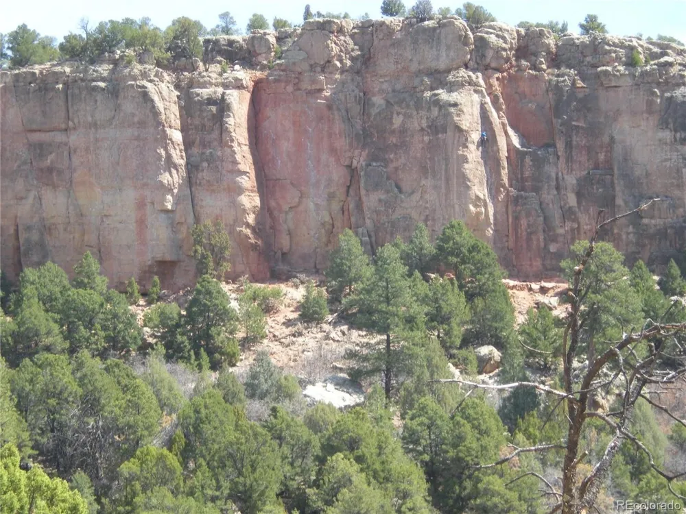 Unknown Canon City, CO 81212