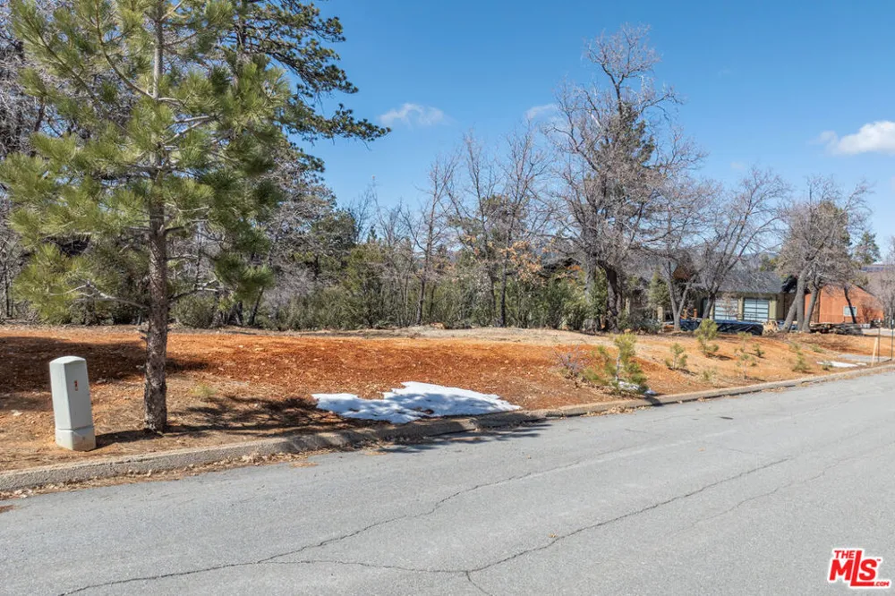 1603 Angels Camp Road Big Bear City, CA 92314