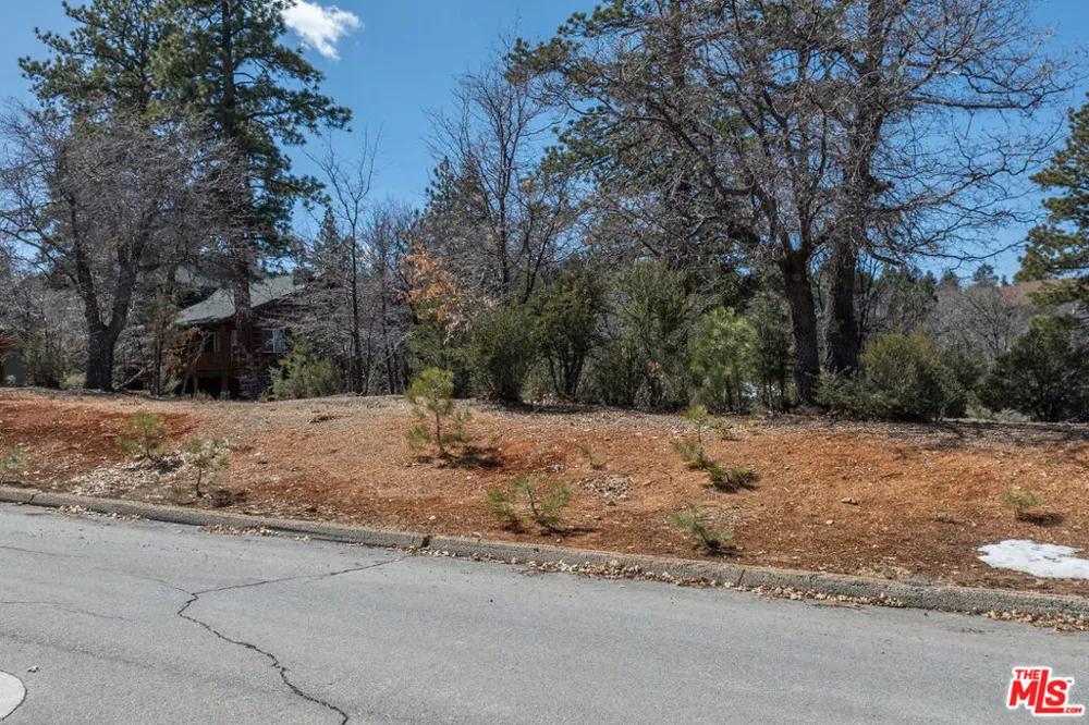 1603 Angels Camp Road Big Bear City, CA 92314