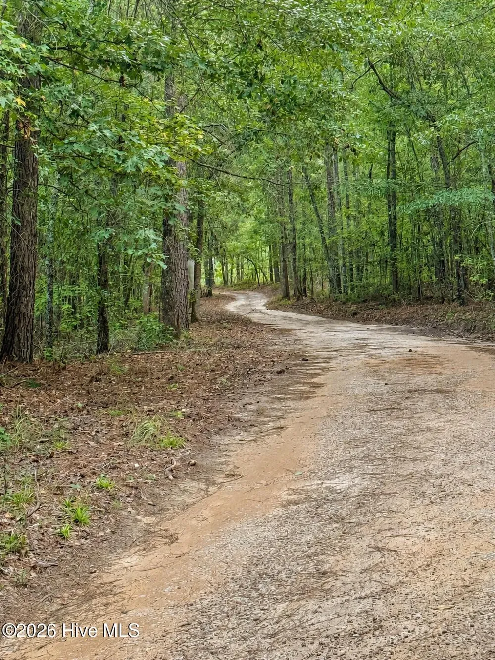 2171 Gene Howard Road Stapleton, GA 30823