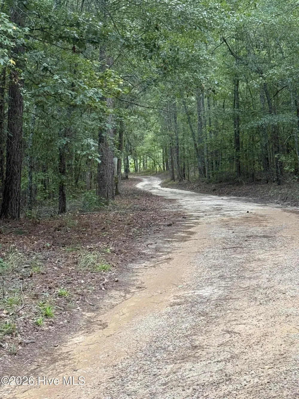 2171 Gene Howard Road Stapleton, GA 30823