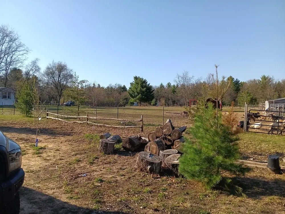 1889 E 40th Street Everett Township, MI 49349