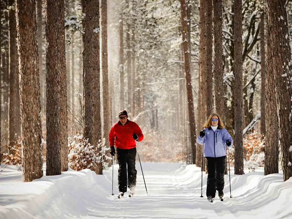 Mountain Woods Court Weldon Township, MI 49683